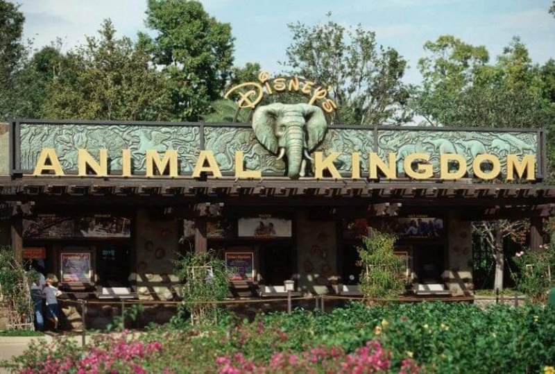 Entrada do Parque Animal Kingdom na Disney em Orlando