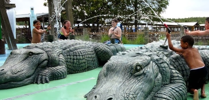 Gatorland Orlando Parque Jacares