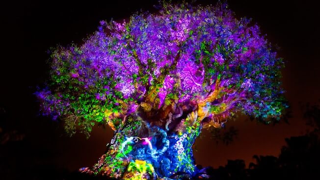 Rivers of Light no Disney’s Animal Kingdom em Orlando