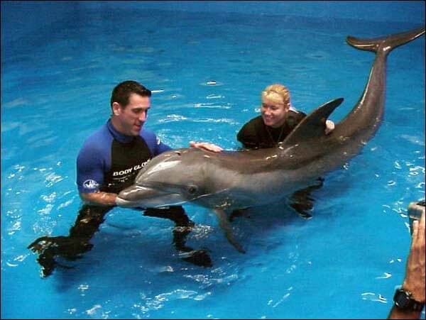 Nadando com golfinhos na Disney em Orlando