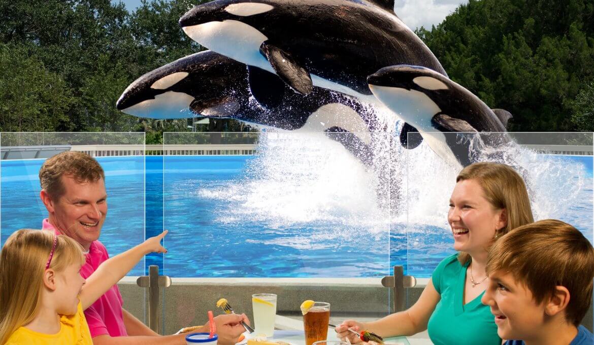 Almoço com baleias orcas no SeaWorld
