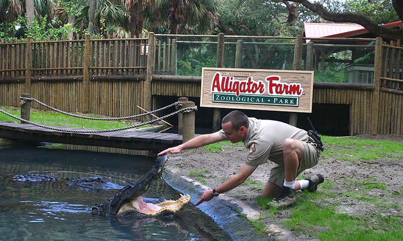 Alligator Farm em Saint Augustine